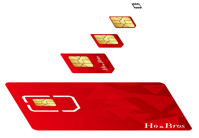 LigaFort-SIM SOLUTIONS